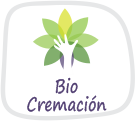 boton bio cremacion