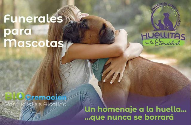 Funerales para mascotas en Bogotá y Villavicencio